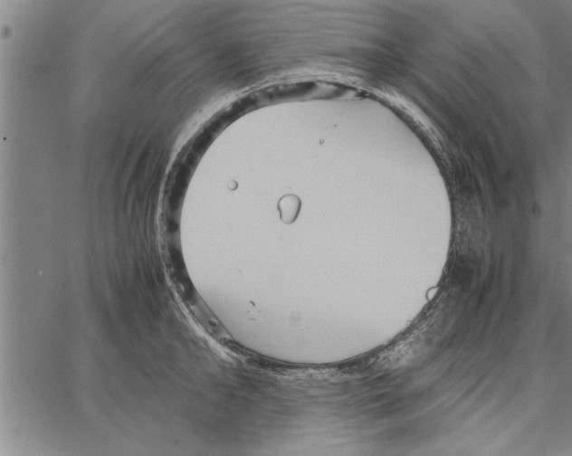 X0000066940902200604211747