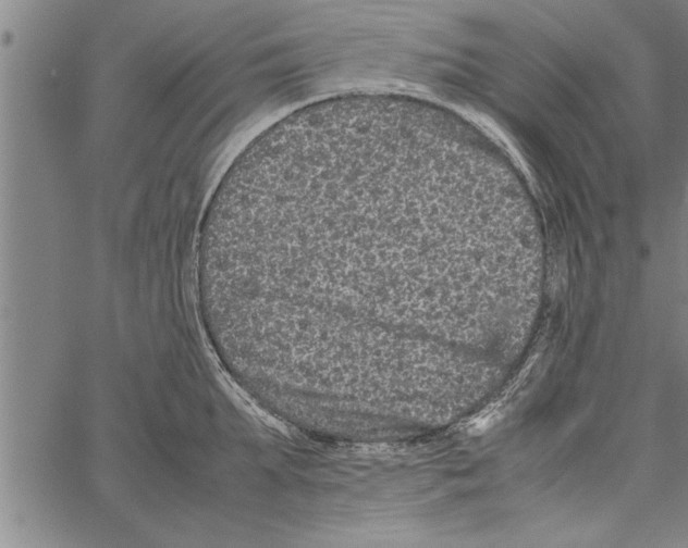 X0000066940903200604211747