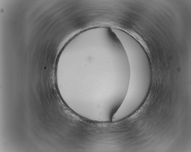 X0000066940904200604211747