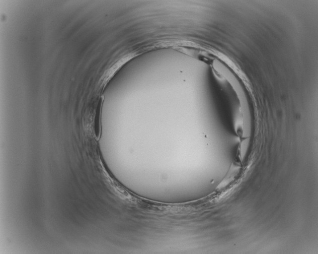 X0000066940905200604211747