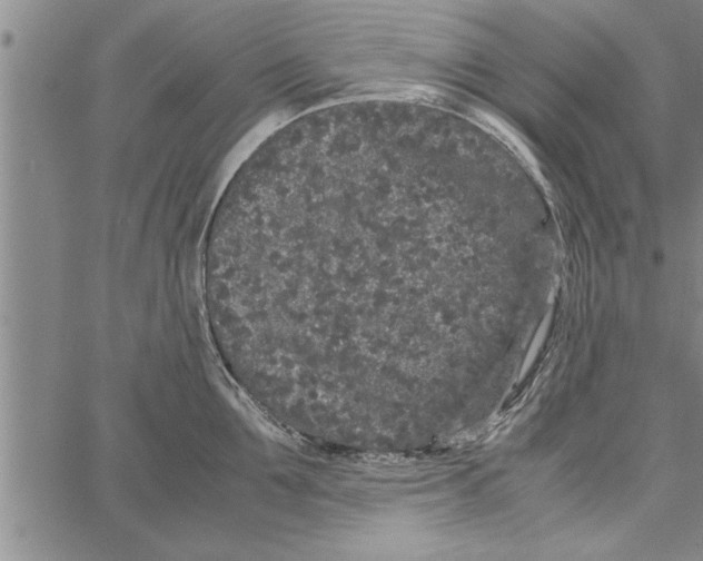 X0000066940907200604211747