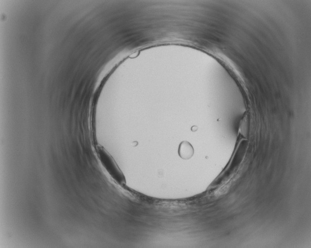 X0000066940910200604211747