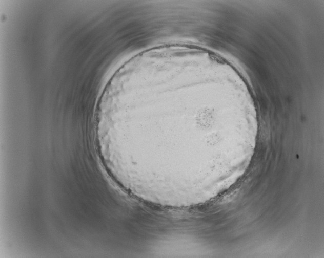 X0000066940911200604211747