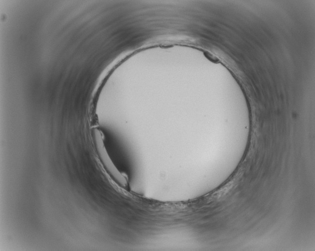 X0000066940912200604211747