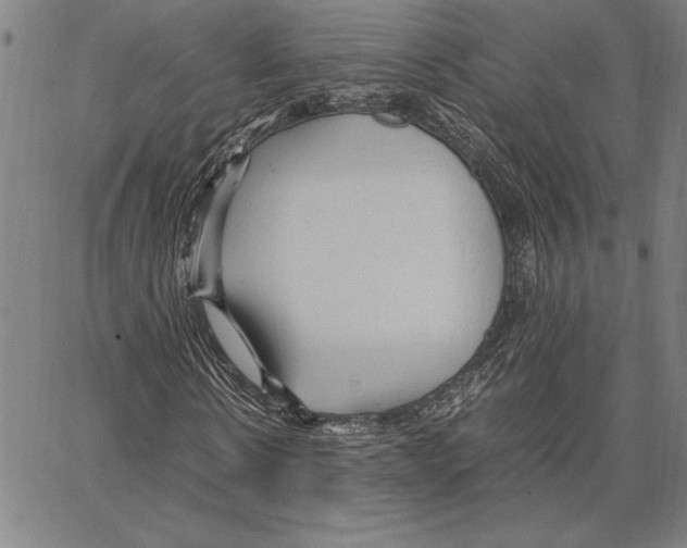 X0000066940914200604211746