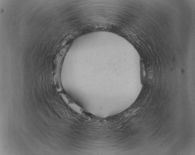 X0000066940916200604211746