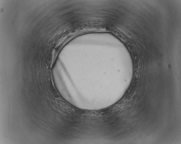 X0000066940917200604211746