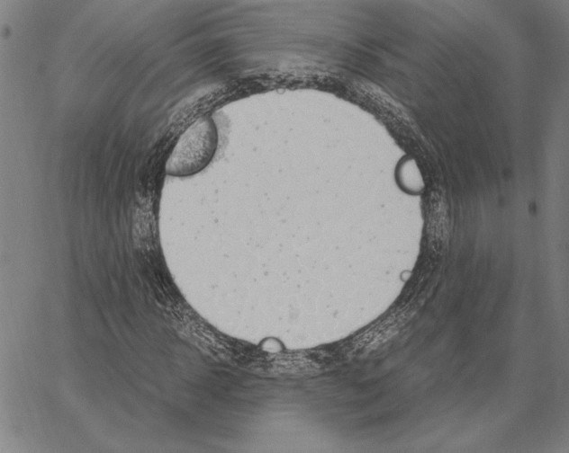 X0000066940918200604211746