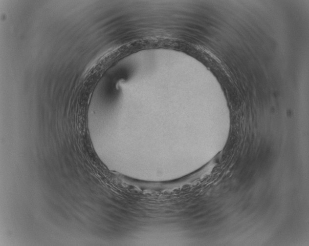 X0000066940919200604211746