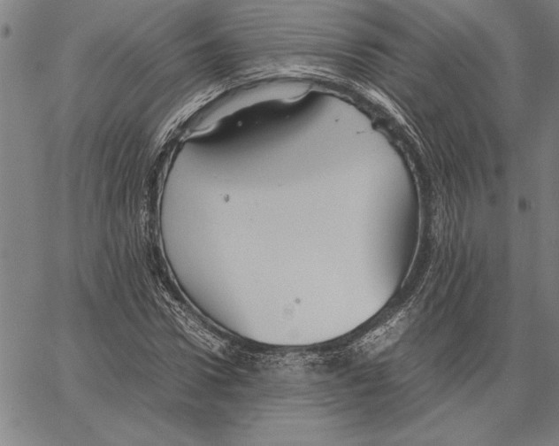 X0000066940922200604211746