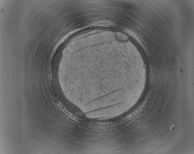 X0000066940923200604211746