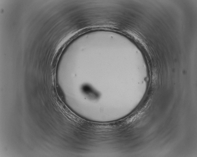 X0000066940925200604211746