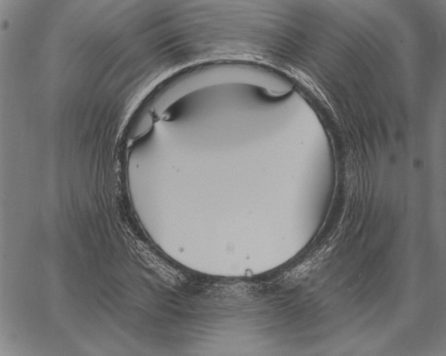 X0000066940926200604211746