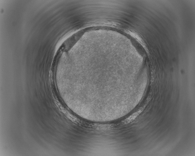 X0000066940928200604211746