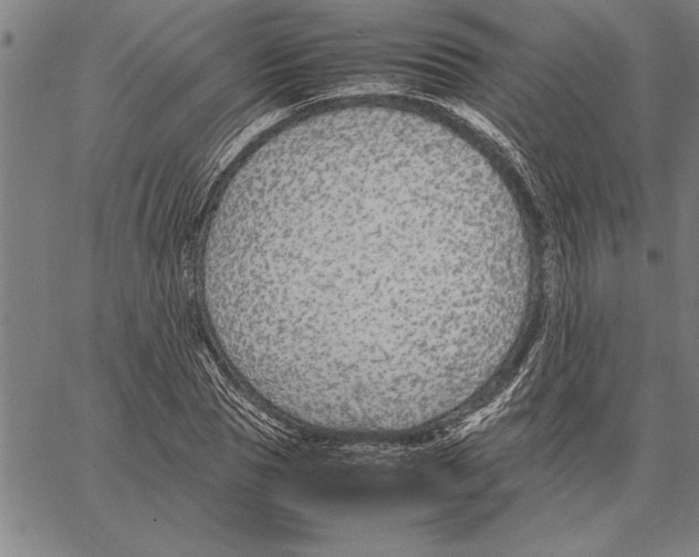 X0000066940929200604211746