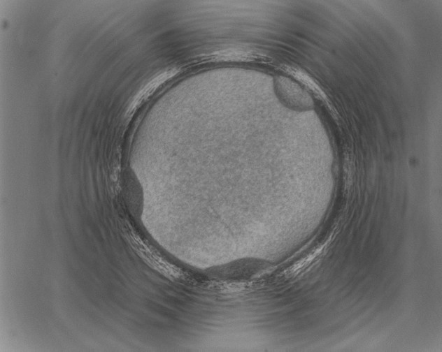 X0000066940930200604211746