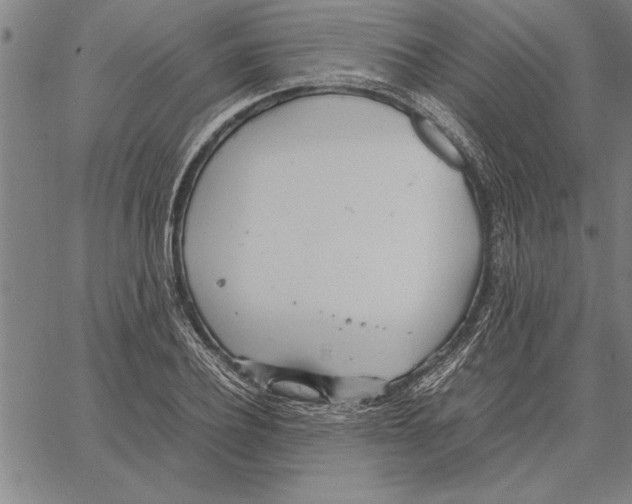 X0000066940932200604211746