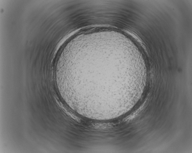 X0000066940933200604211746