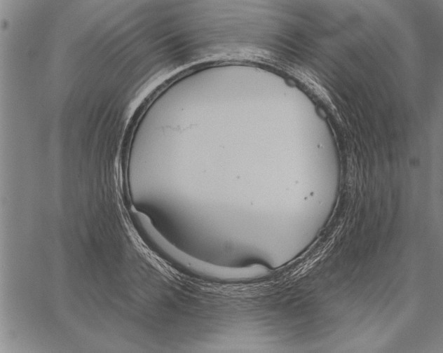 X0000066940936200604211746