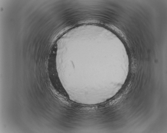 X0000066940937200604211746