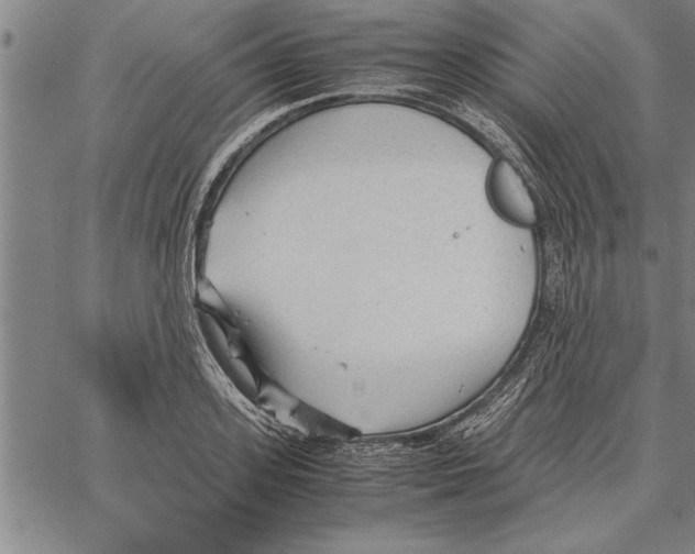 X0000066940939200604211746