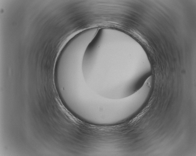 X0000066940940200604211746