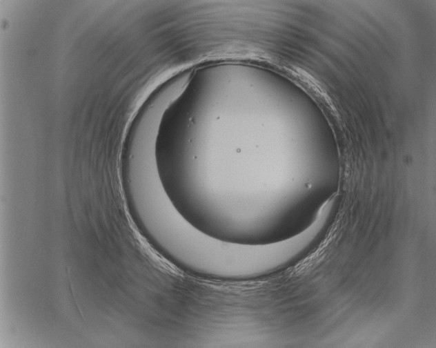 X0000066940942200604211746