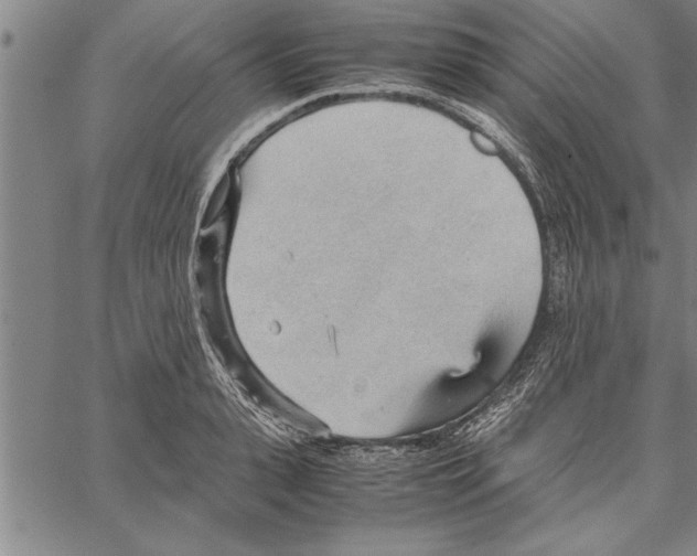 X0000066940943200604211746