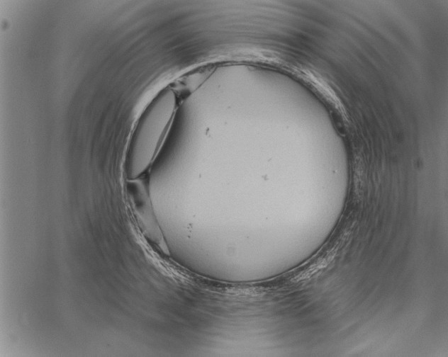 X0000066940944200604211746