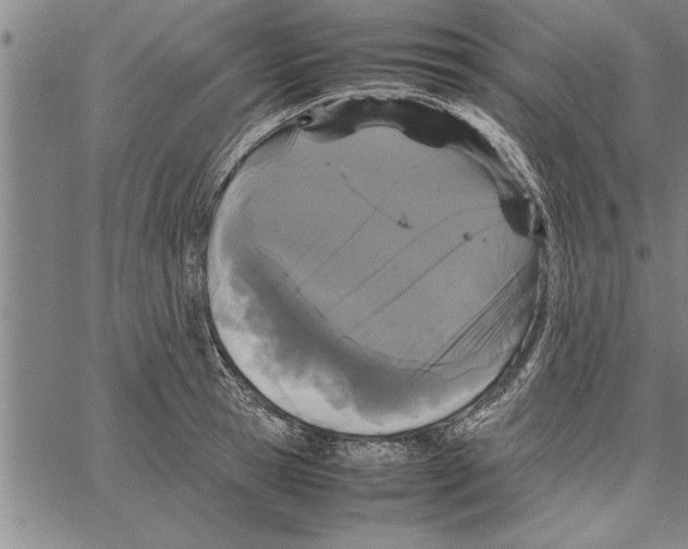 X0000066940945200604211746