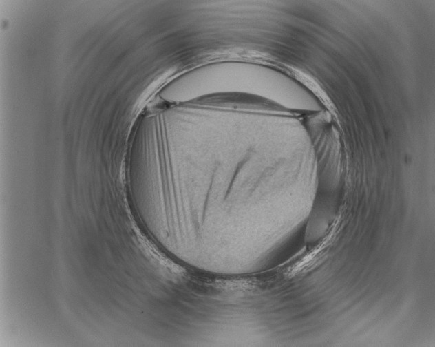 X0000066940946200604211746