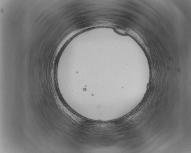 X0000066940947200604211746