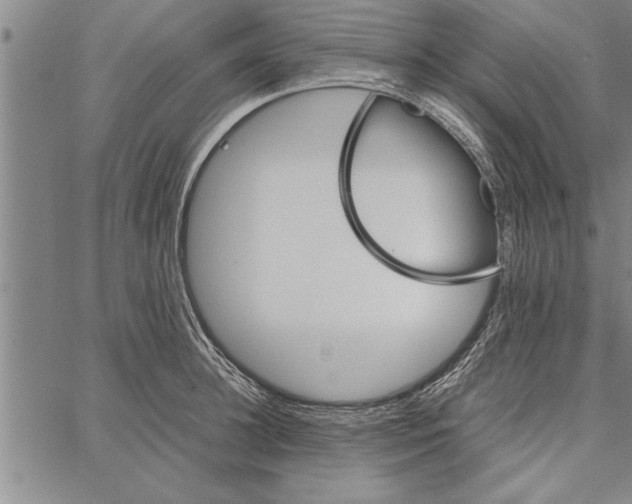 X0000066940948200604211746