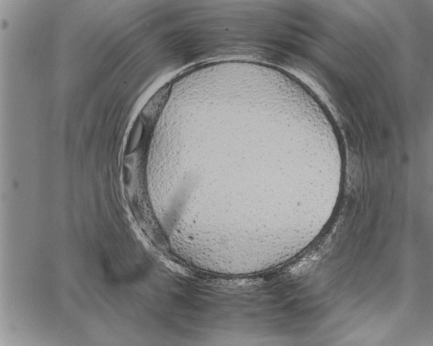 X0000066940949200604211746