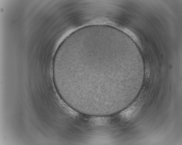 X0000066940950200604211746