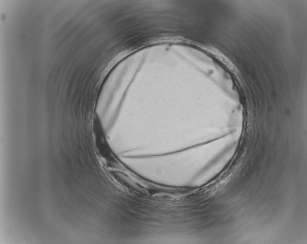 X0000066940953200604211746