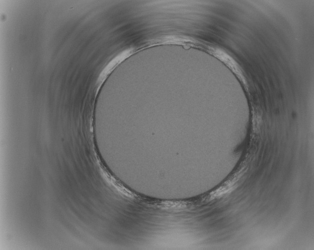 X0000066940954200604211746