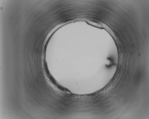 X0000066940955200604211746