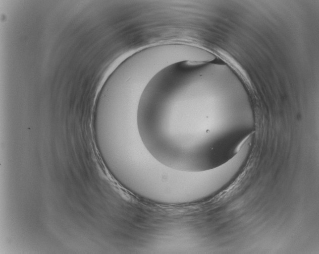 X0000066940956200604211747