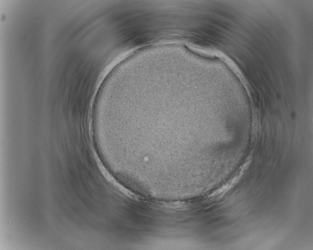 X0000066940957200604211747