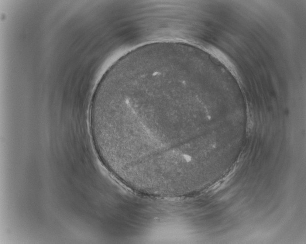 X0000066940958200604211747