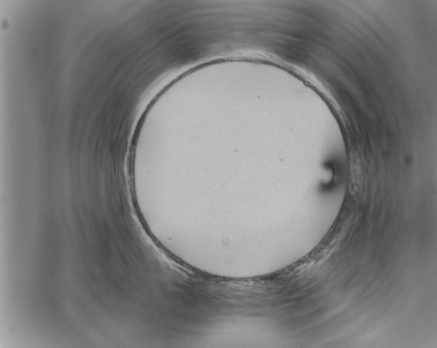 X0000066940959200604211747