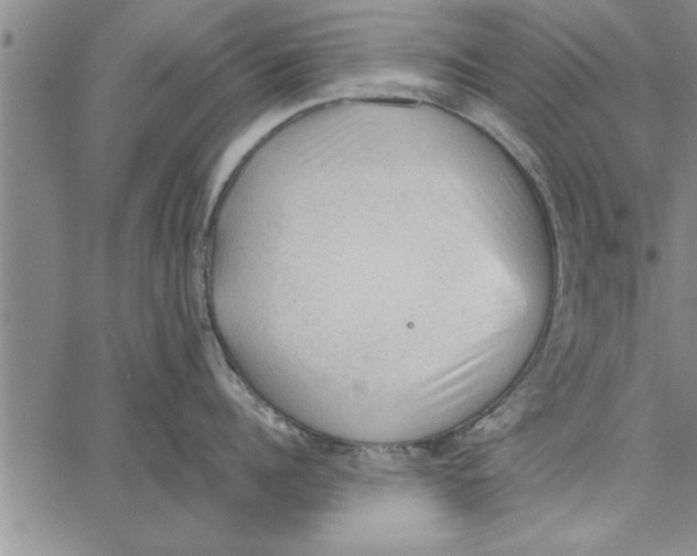 X0000066940960200604211747