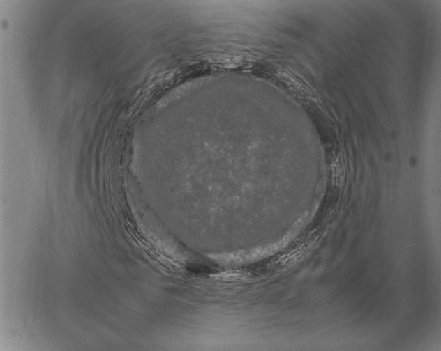 X0000066940961200604211746