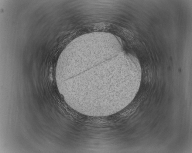 X0000066940962200604211746