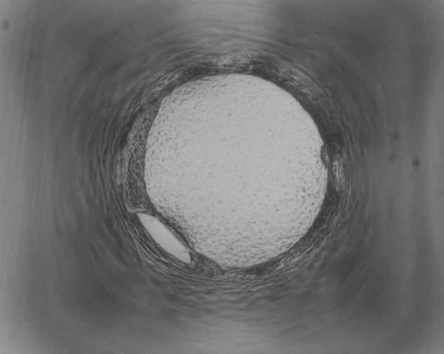 X0000066940963200604211746