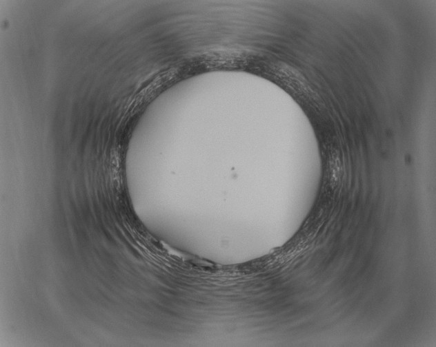 X0000066940964200604211746