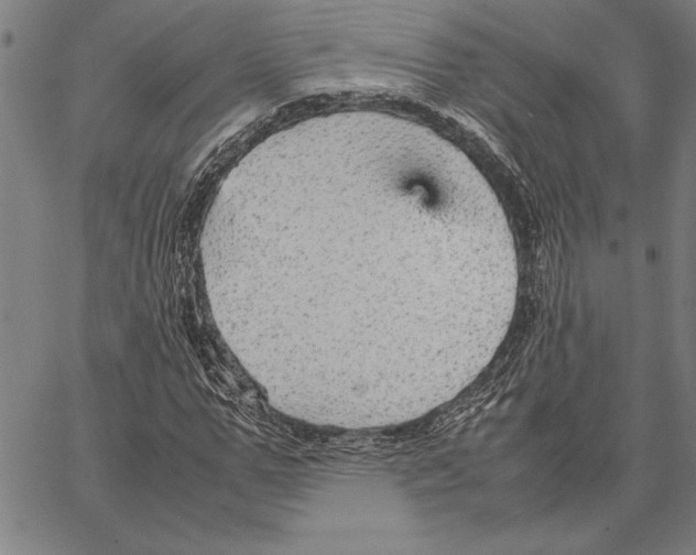 X0000066940967200604211746