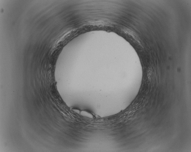 X0000066940968200604211746