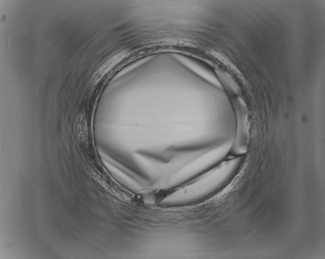 X0000066940969200604211746